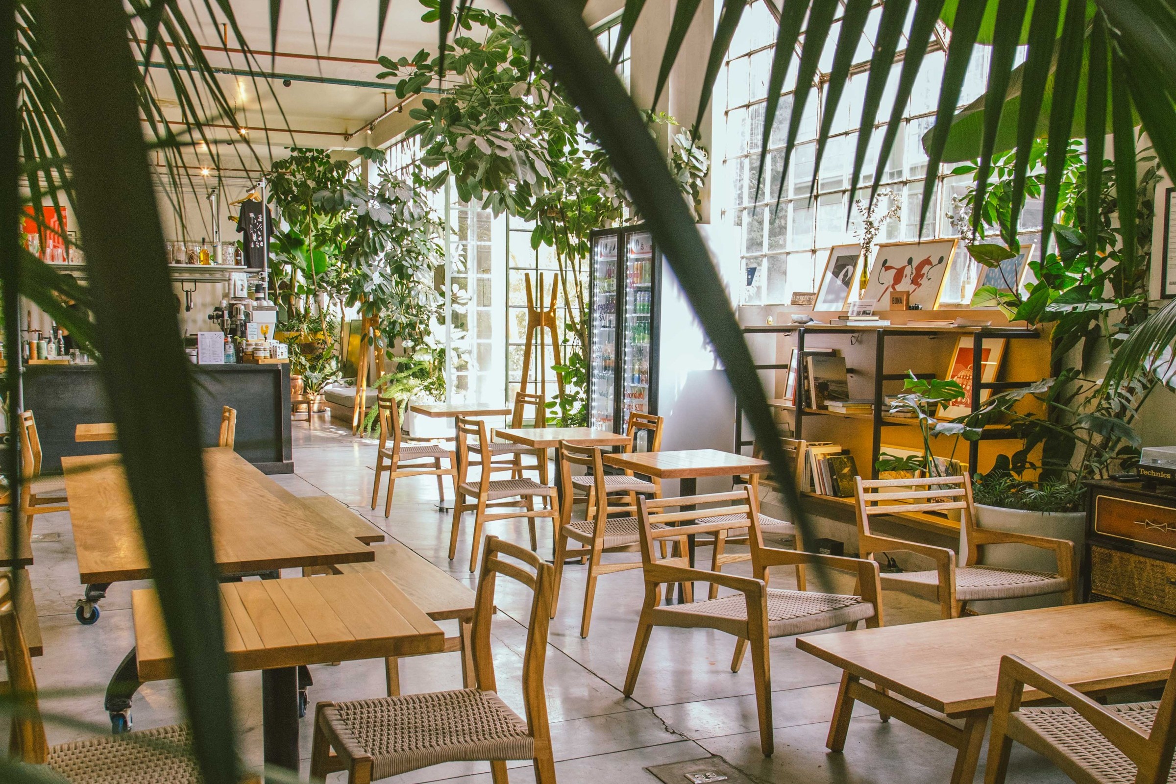 Sunlit hall inside BUNA La Tostadora in a former textile factory, wooden tables and woven chairs among tall plants beside steel framed windows, with a shelf of books and framed prints